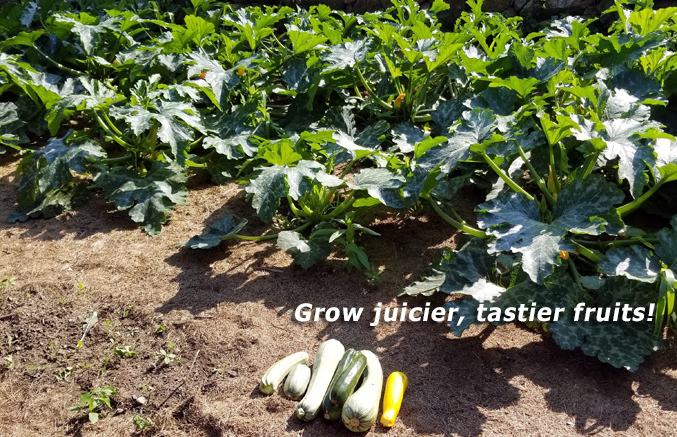 Grow juicier, tastier fruits, Hydros Environmental Diagnostics, Bourne, MA